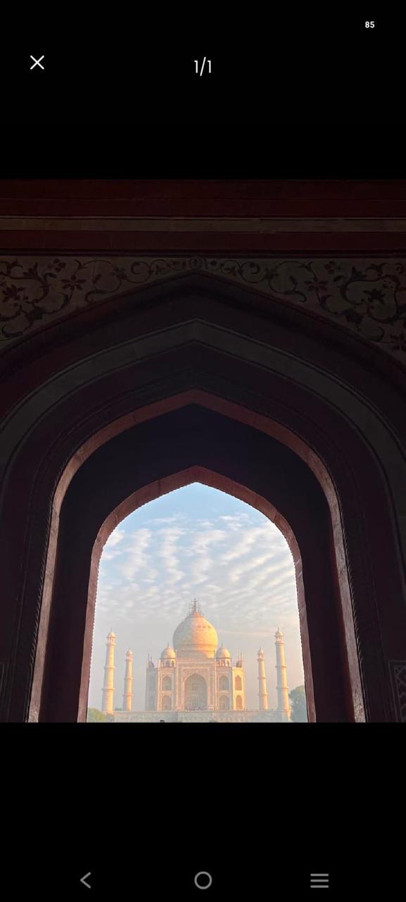 From Delhi: Taj Mahal and Fort Top-Rated Tour with 5* Lunch